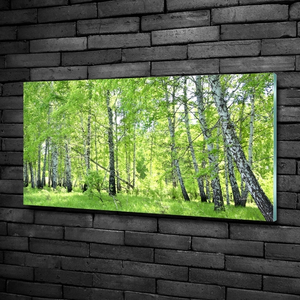 Quadro vetro Foresta di betulle