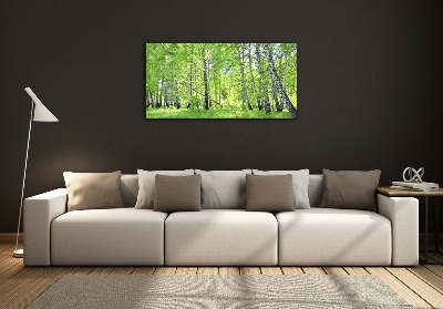 Quadro vetro Foresta di betulle