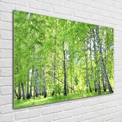 Quadro vetro Foresta di betulle