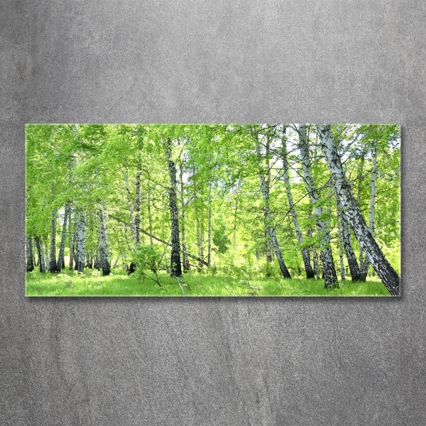 Quadro vetro Foresta di betulle