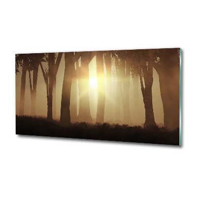 Quadro in verde Nebbia nella foresta