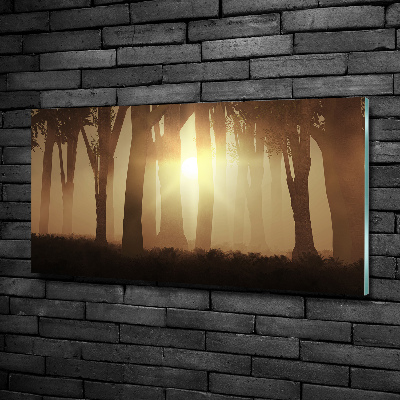 Quadro in verde Nebbia nella foresta