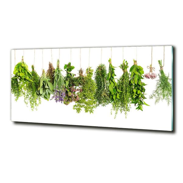 Quadro vetro Erbe aromatiche su un filo