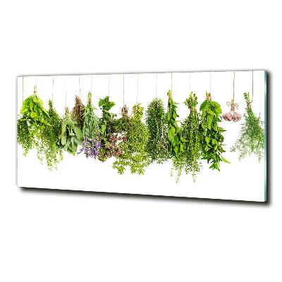 Quadro vetro Erbe aromatiche su un filo