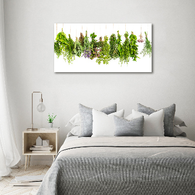 Quadro vetro Erbe aromatiche su un filo