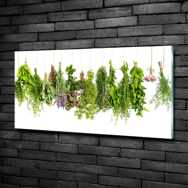 Quadro vetro Erbe aromatiche su un filo