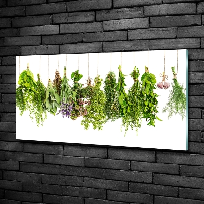 Quadro vetro Erbe aromatiche su un filo