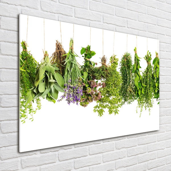 Quadro vetro Erbe aromatiche su un filo