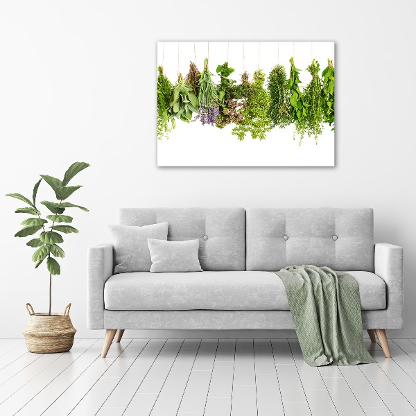 Quadro vetro Erbe aromatiche su un filo
