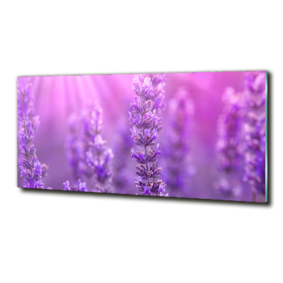 Quadro su vetro Lavanda
