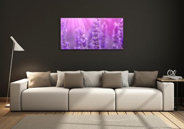 Quadro su vetro Lavanda