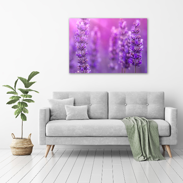 Quadro su vetro Lavanda