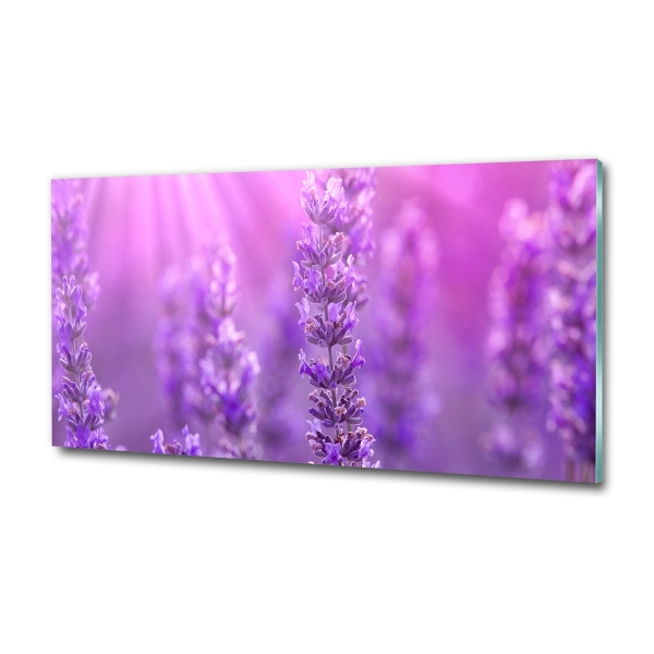 Quadro su vetro Lavanda