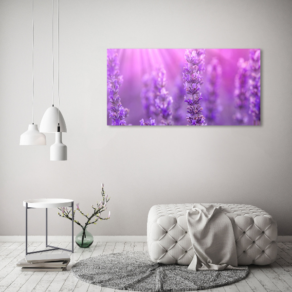 Quadro su vetro Lavanda