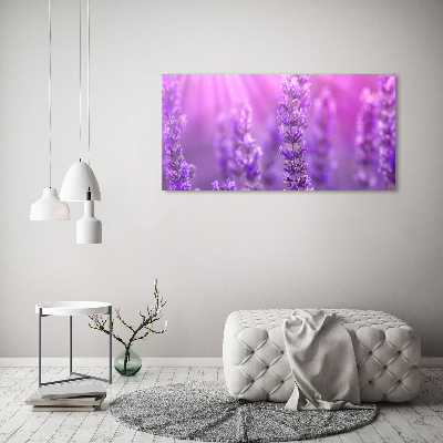 Quadro su vetro Lavanda