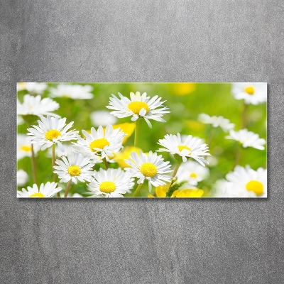 Quadro in verde Margherite