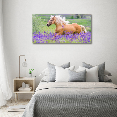 Quadro in vetro Un cavallo in un campo di lavanda