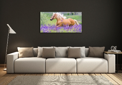 Quadro in vetro Un cavallo in un campo di lavanda