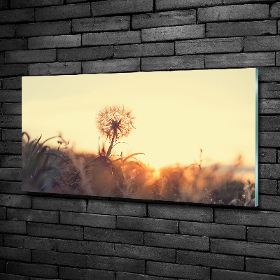 Quadro vetro Dente di leone