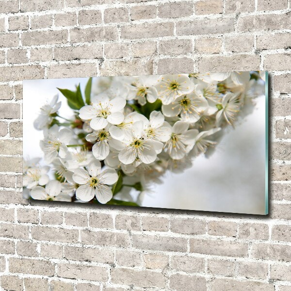 Quadro su vetro Fiori di ciliegio