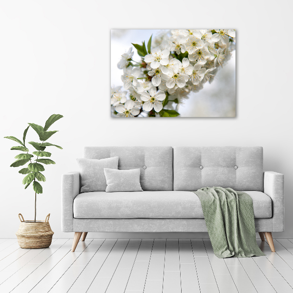 Quadro su vetro Fiori di ciliegio