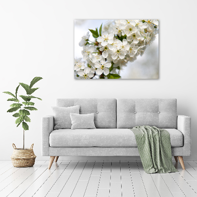 Quadro su vetro Fiori di ciliegio