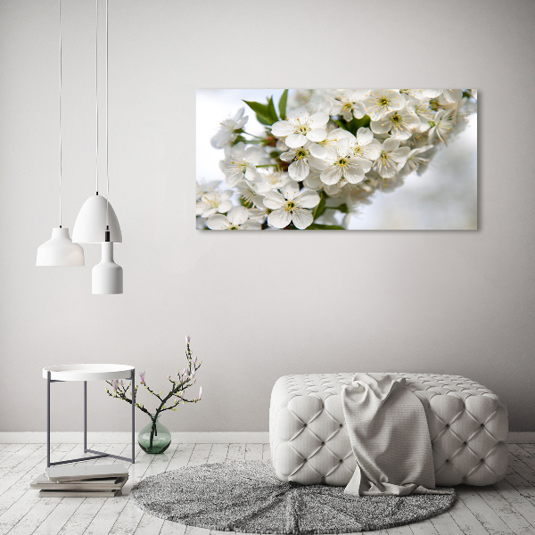 Quadro su vetro Fiori di ciliegio