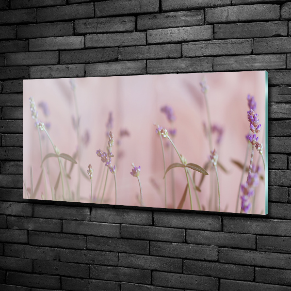 Quadro su vetro Lavanda