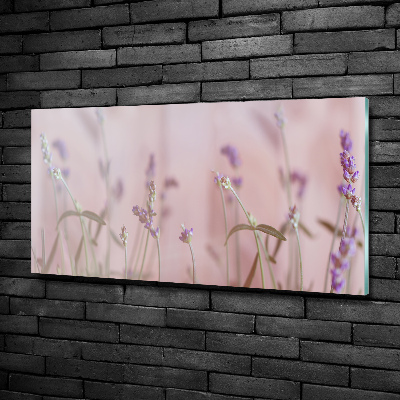 Quadro su vetro Lavanda