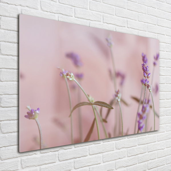 Quadro su vetro Lavanda