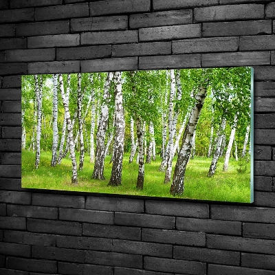 Quadro in vetro Foresta di betulle
