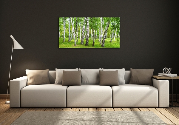 Quadro in vetro Foresta di betulle