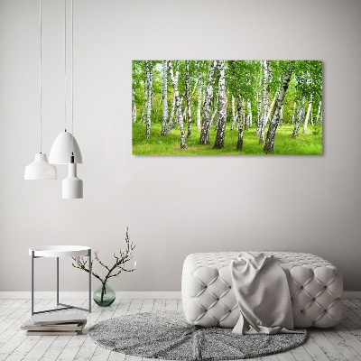 Quadro in vetro Foresta di betulle