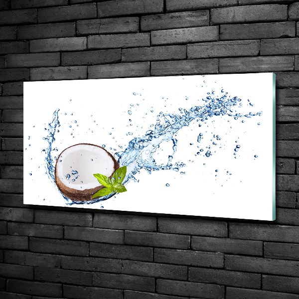 Quadro su vetro Cocco e acqua
