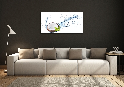 Quadro su vetro Cocco e acqua
