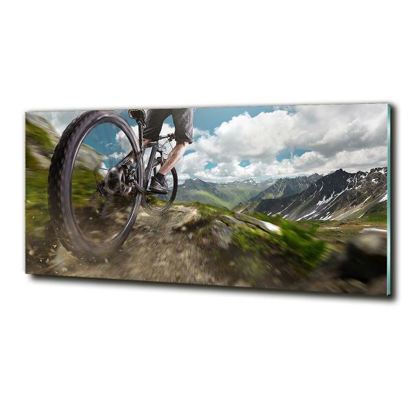 Quadro in verde Mountain bike