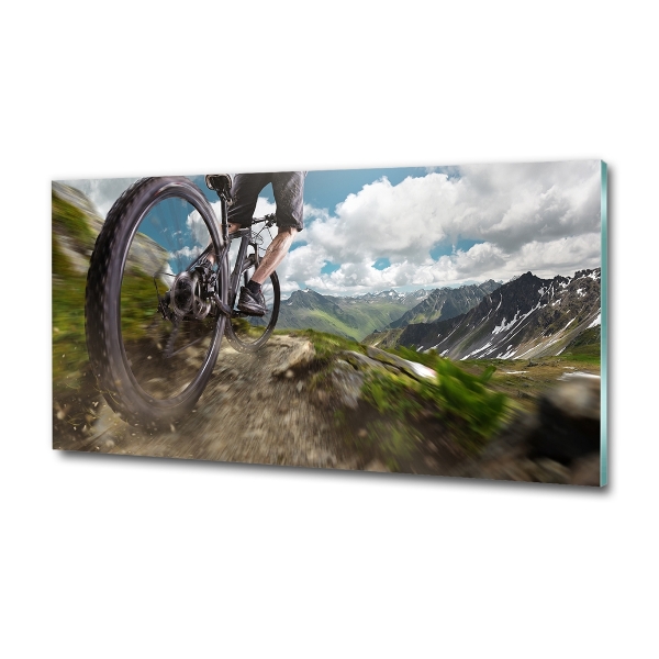 Quadro in verde Mountain bike