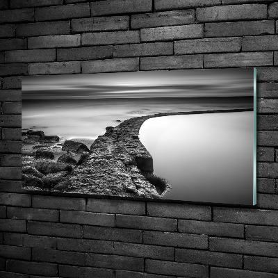 Quadro in verde Spiaggia rocciosa