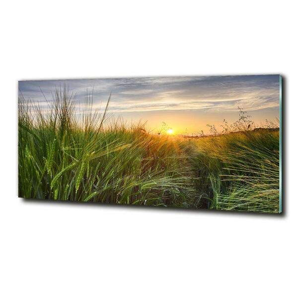 Quadro su vetro Campo di grano