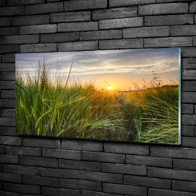 Quadro su vetro Campo di grano