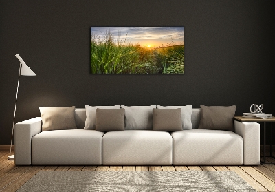 Quadro su vetro Campo di grano