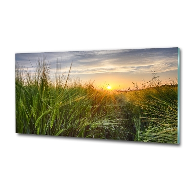 Quadro su vetro Campo di grano