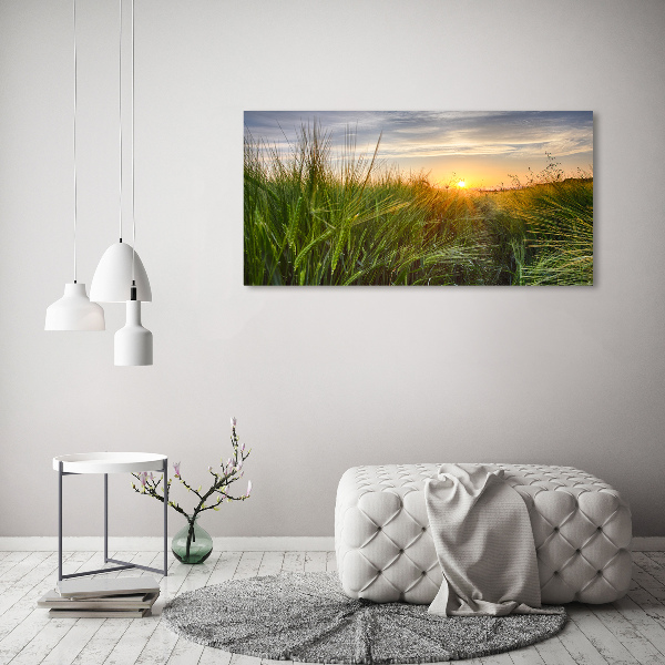 Quadro su vetro Campo di grano