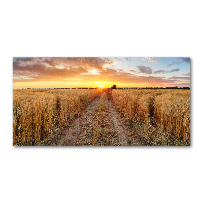 Quadro su vetro Campo di grano