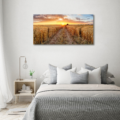 Quadro su vetro Campo di grano