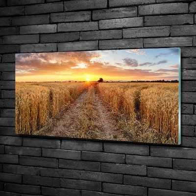 Quadro su vetro Campo di grano