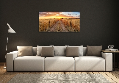 Quadro su vetro Campo di grano