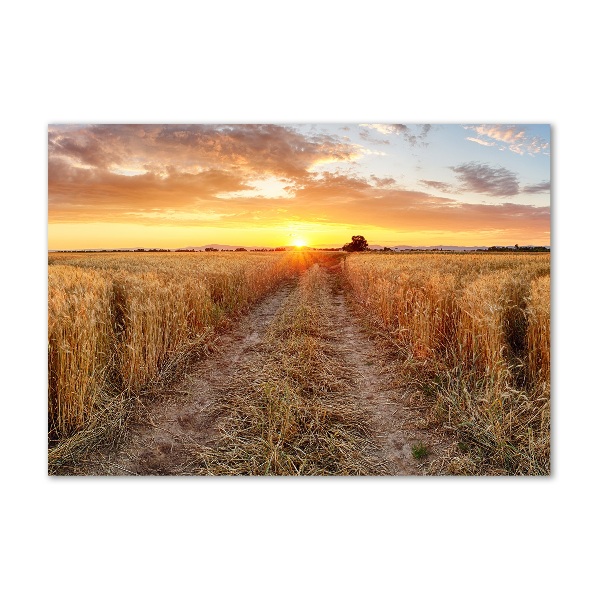 Quadro su vetro Campo di grano