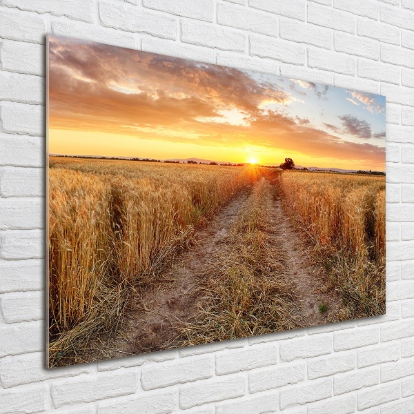 Quadro su vetro Campo di grano