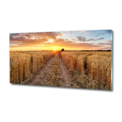 Quadro su vetro Campo di grano